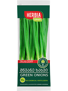 Green onion / Herbia / 70 g