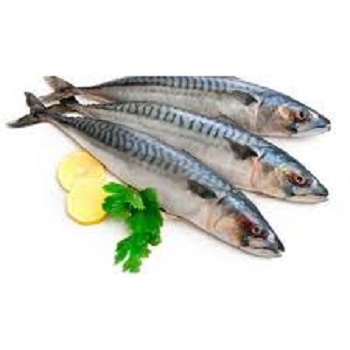 Fish / frozen / mackerel 300-500 / Nobati / 1 kg