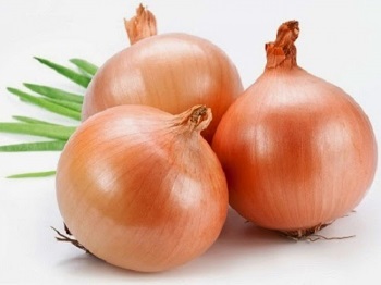 Onion / Herbia / net 500 gr